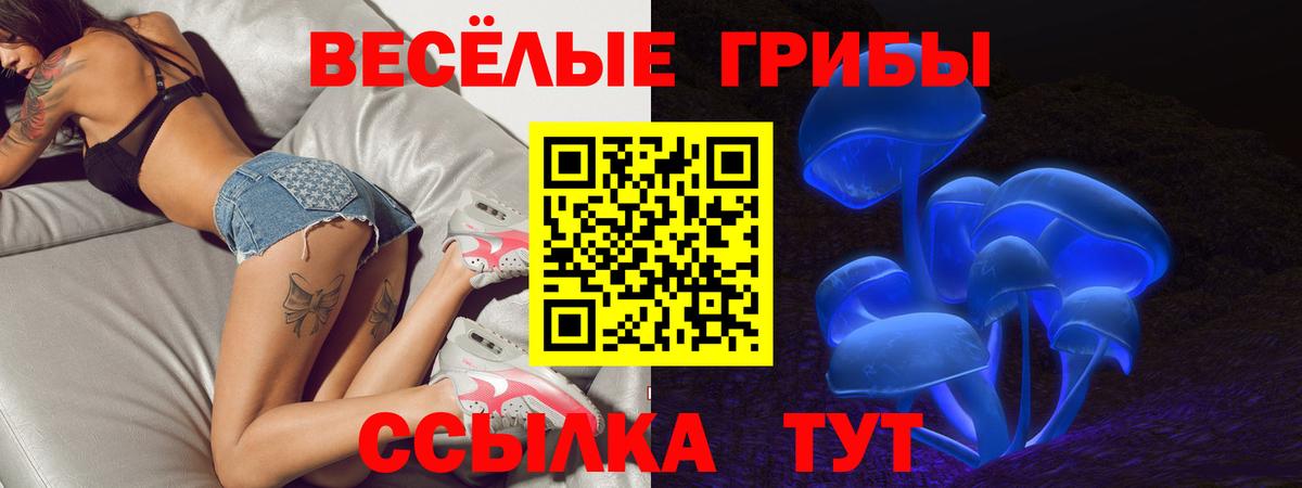 Псилоцибиновые грибы Cubensis  Псилоцибиновые грибы Cubensis  Вход с VPN  Шелехов 